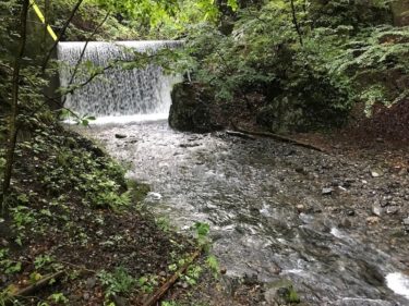 渡良瀬水系「K中川」・「K坂石川」釣行記 (2019年8月下旬)