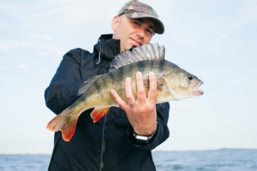 魚の行動習性を利用する釣り入門 科学が明かした「水面下の生態」のすべてを読んだ感想