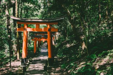 イチから知りたい！神道の本