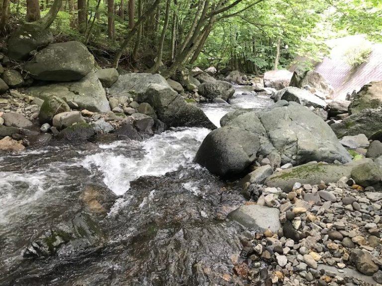 薄根川7月中旬