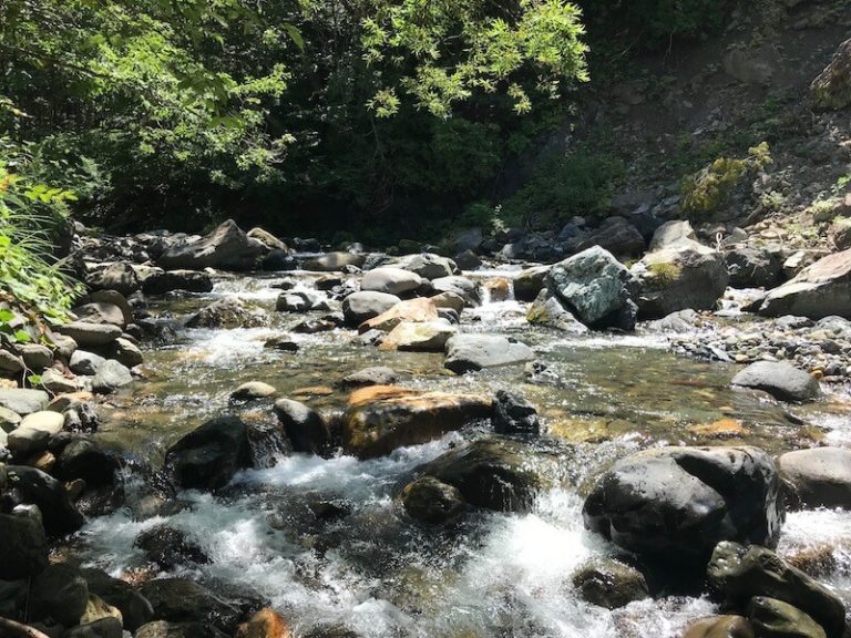 木の根沢