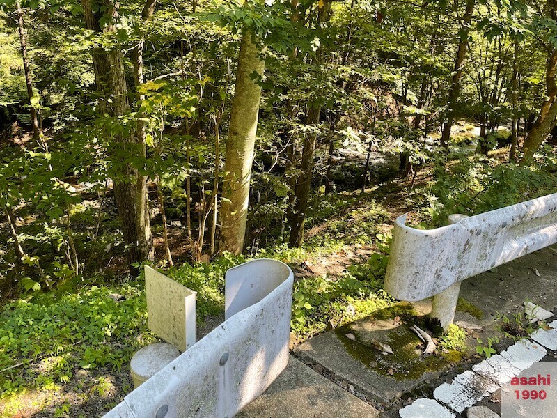 本谷 神流川 釣り