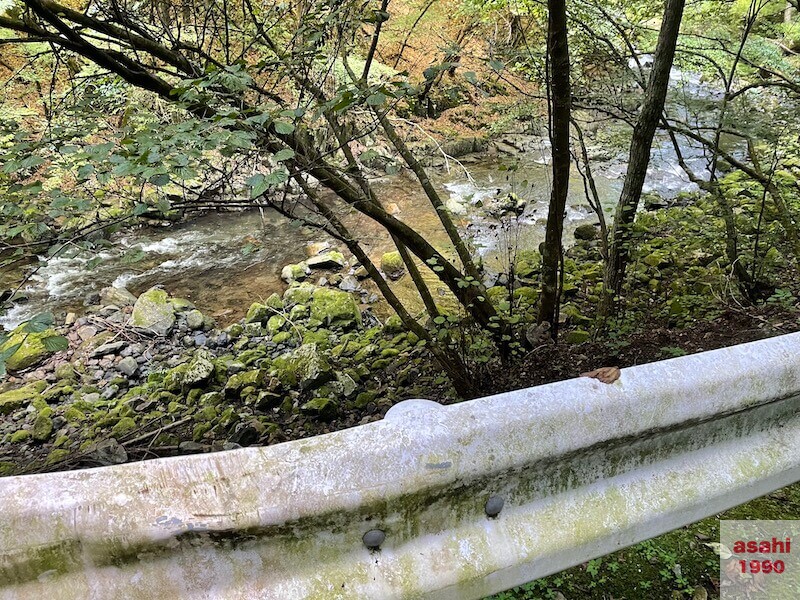 本谷 神流川 釣り