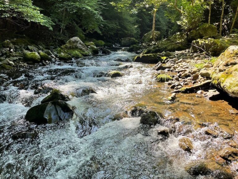 本谷 神流川　瀬 釣り