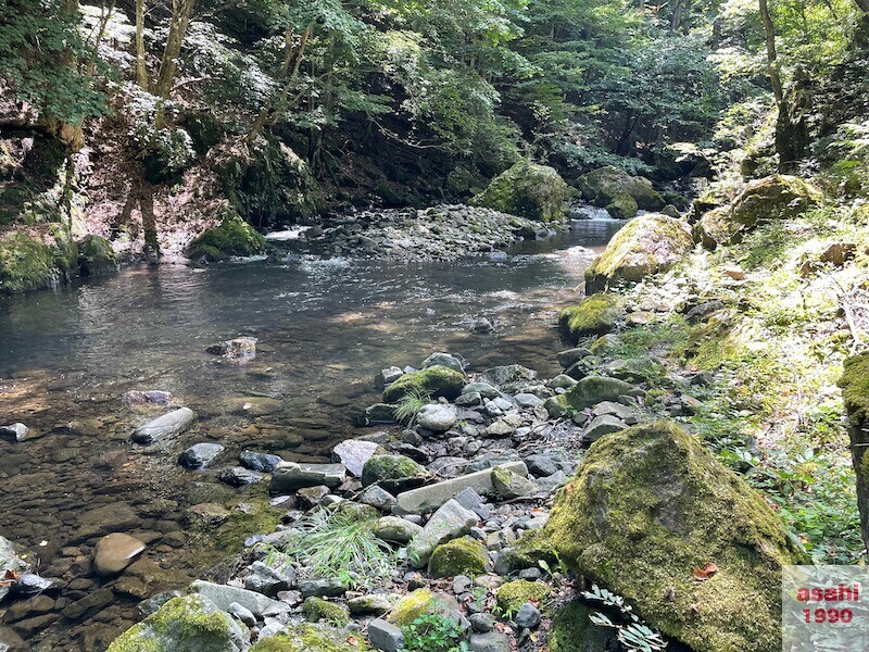 本谷 神流川 釣り