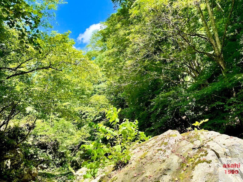 本谷 神流川 釣り 気分転換