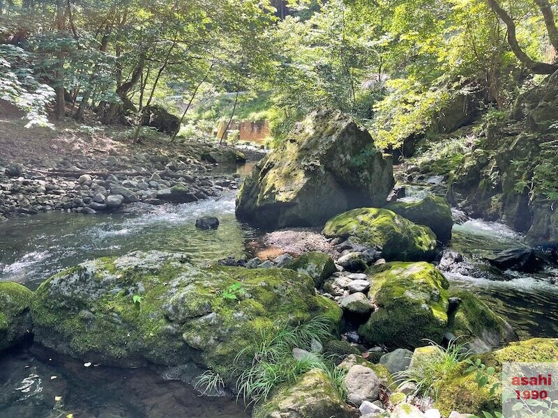 本谷 神流川 釣り 岩