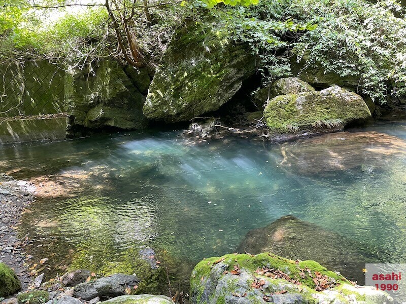 本谷 神流川 釣り 淵