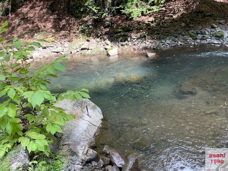 本谷 神流川 釣り 淀み