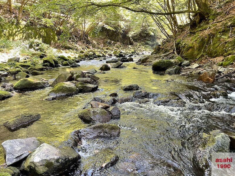 本谷 神流川 釣り 渓流
