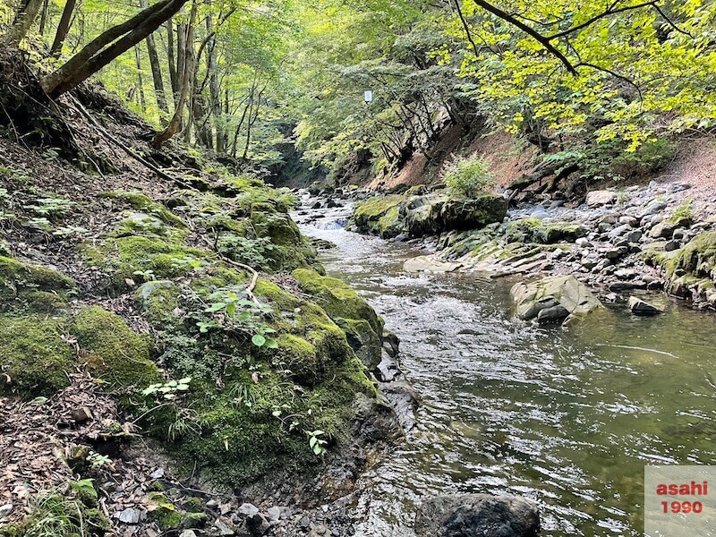 本谷 神流川 釣りテンカラ