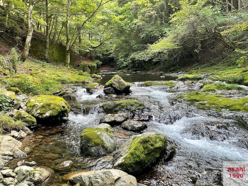 本谷 神流川 釣り渓流