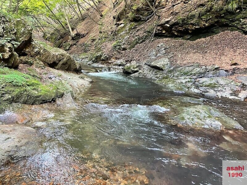本谷 神流川 釣り大岩