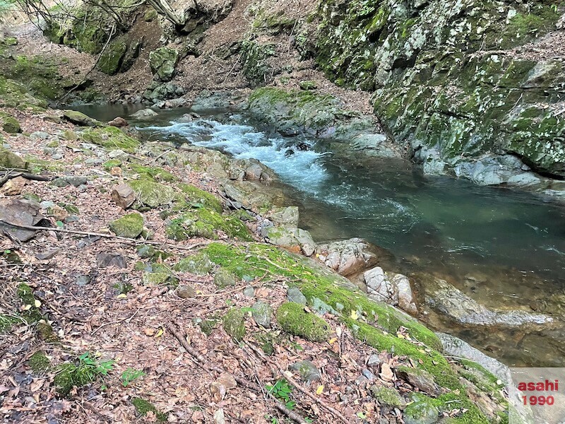 本谷 神流川 釣り上から