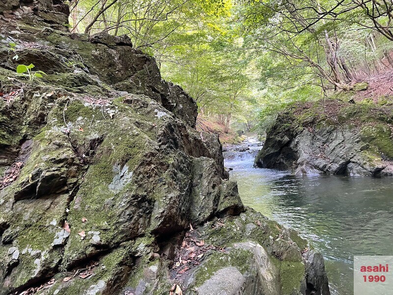 本谷 神流川 釣り 道