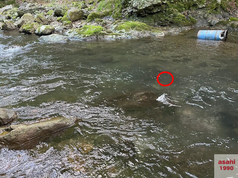 本谷 神流川 釣り ドラム缶