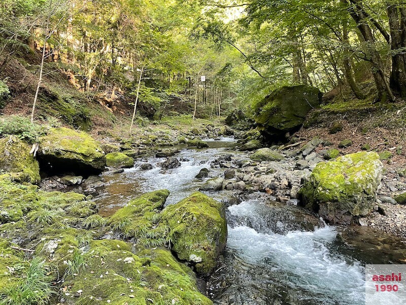 本谷 神流川 釣り 本谷4