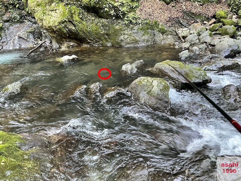 本谷 神流川 釣り バラシ