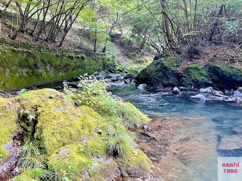 本谷 神流川 釣り