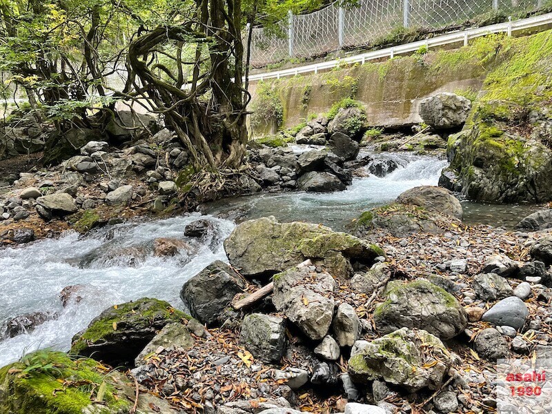 神流川-中ノ沢-釣り-ポイント