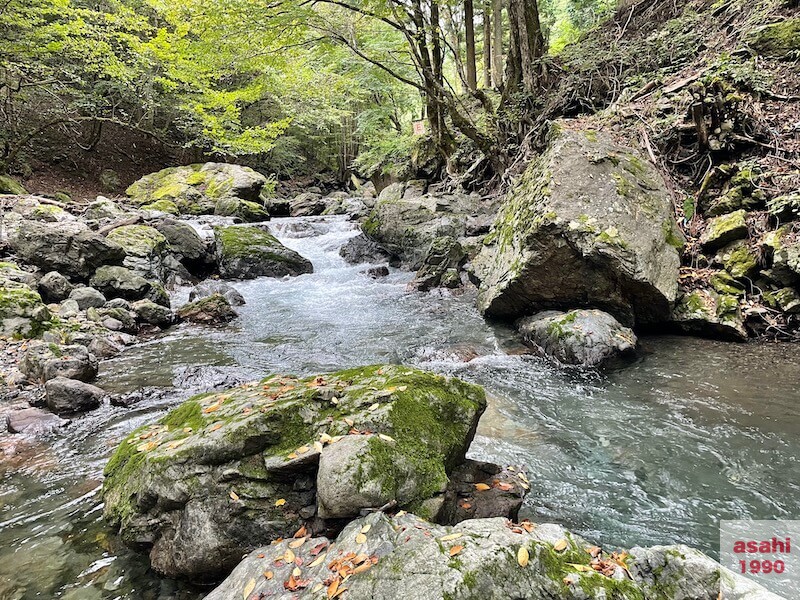 神流川-中ノ沢-釣り-ポイント
