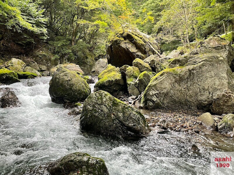神流川-中ノ沢-釣り-ポイント