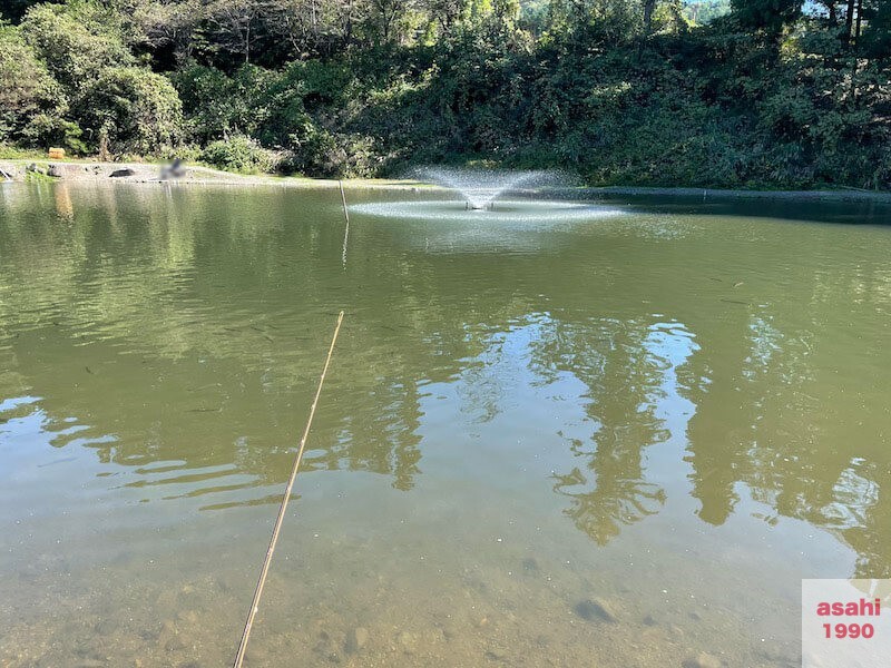 おくとねフィッシングパーク 釣りの場所