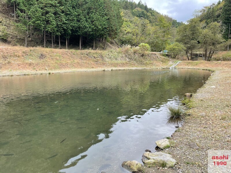 イワナセンター ルアー