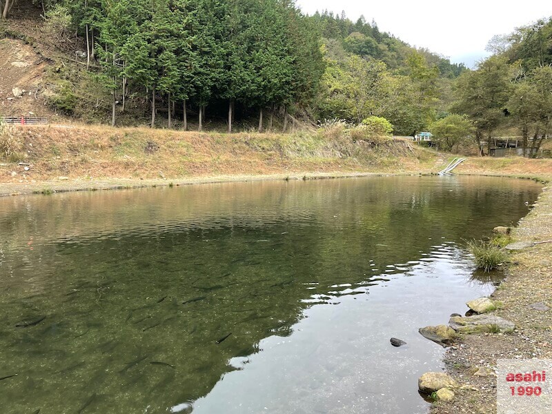 イワナセンター ルアー スプーン ダートマジック