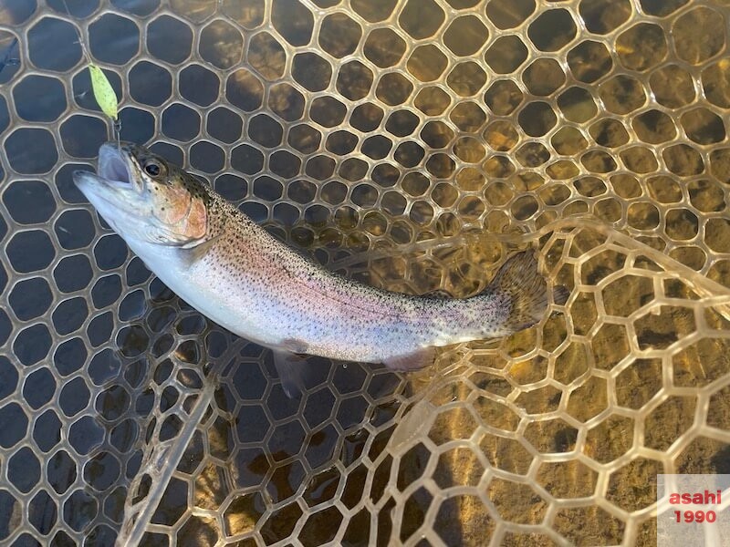 管釣り おくとねFP 