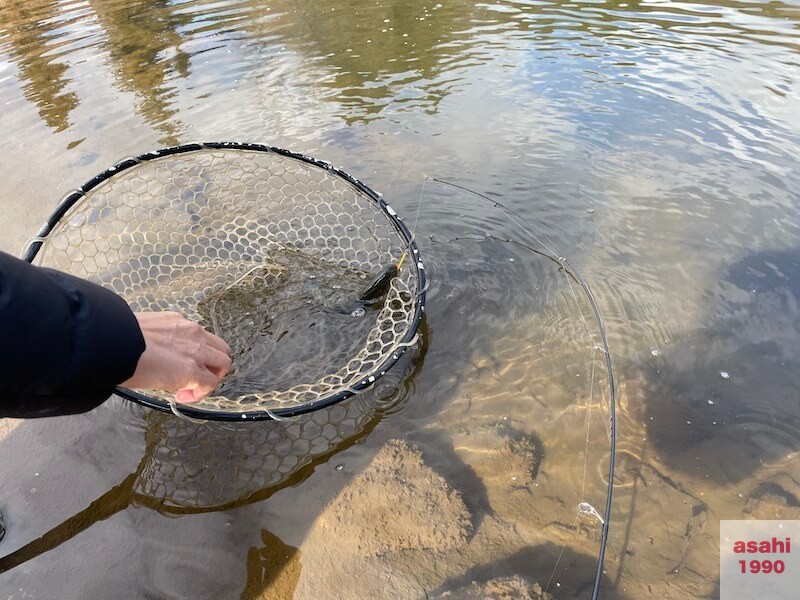 管釣り おくとねFP 