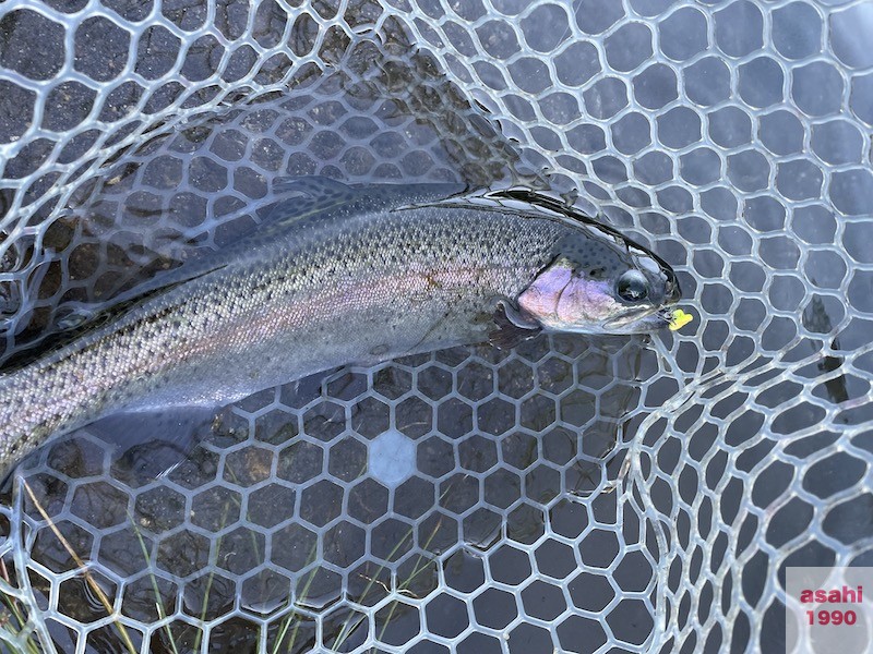 管釣り イワナセンター ブング