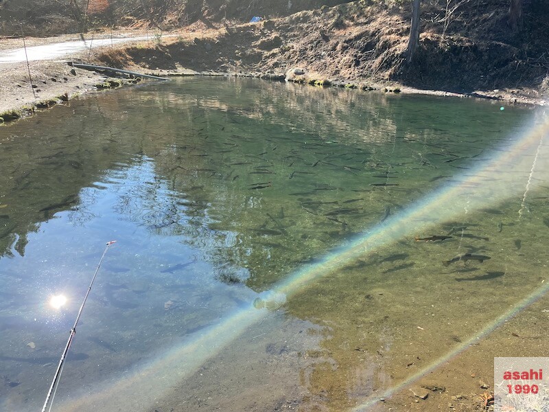 管釣り イワナセンター