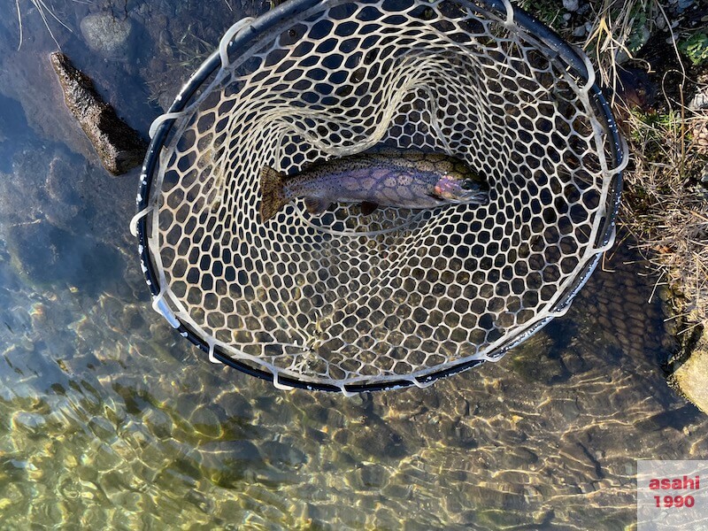 管釣り イワナセンター