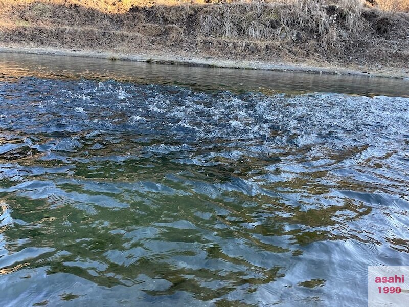 管釣り イワナセンター