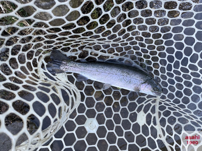 管釣り イワナセンター