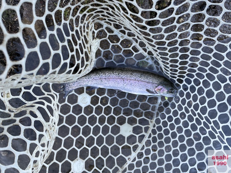 管釣り イワナセンター