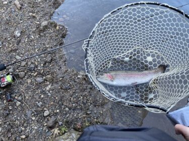 管釣り イワナセンター