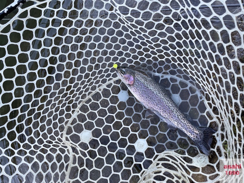 管釣り イワナセンター