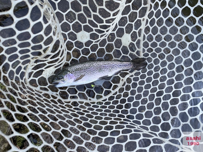 管釣り イワナセンター