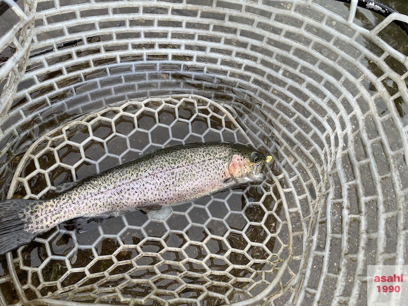 管釣り イワナセンター