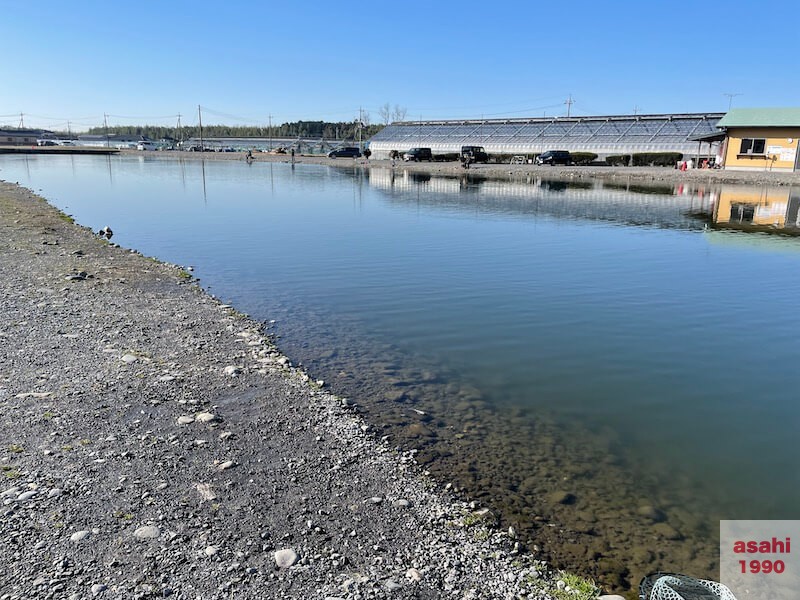 管釣り 増井養魚場