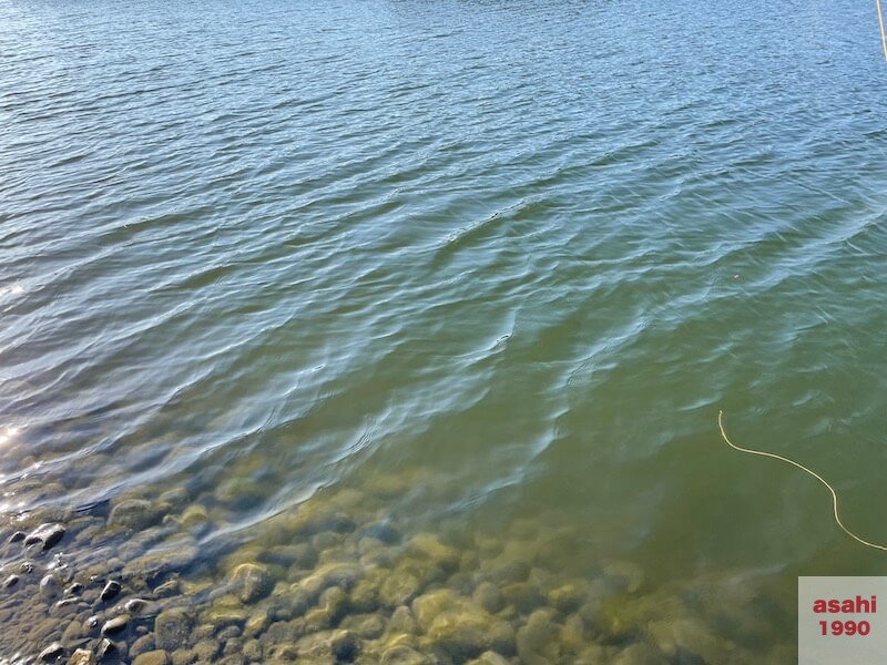 管釣り 増井養魚場