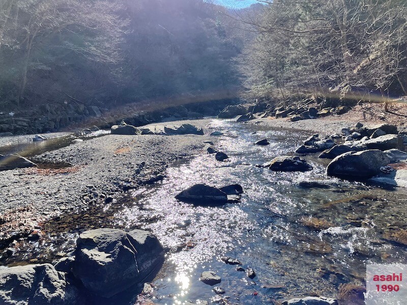 神奈川 冬季釣り場 ハコスチ