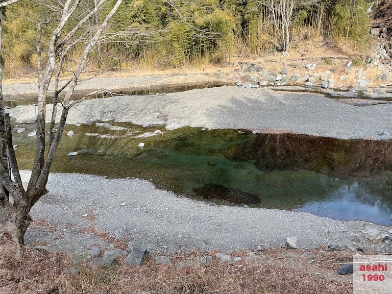 上野村釣り