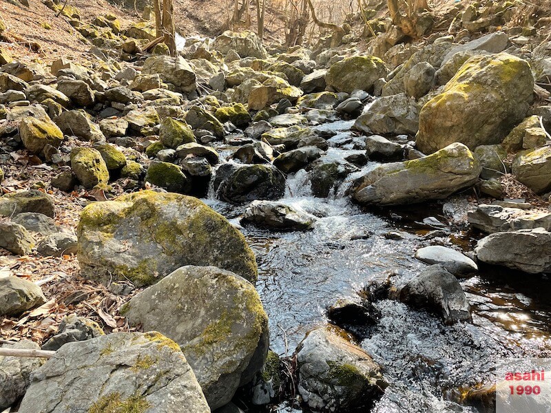 神流川 上野漁協