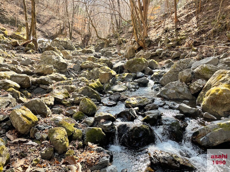 神流川 上野漁協