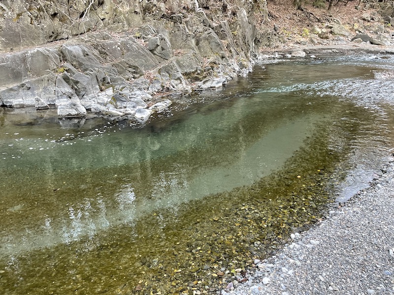 神流川 上野漁協