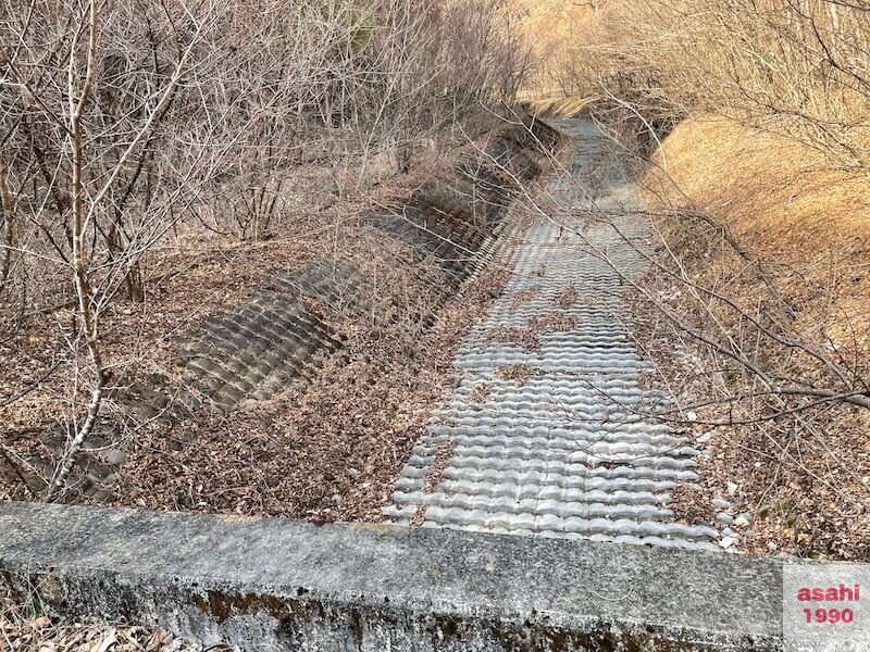 神流川 上野漁協