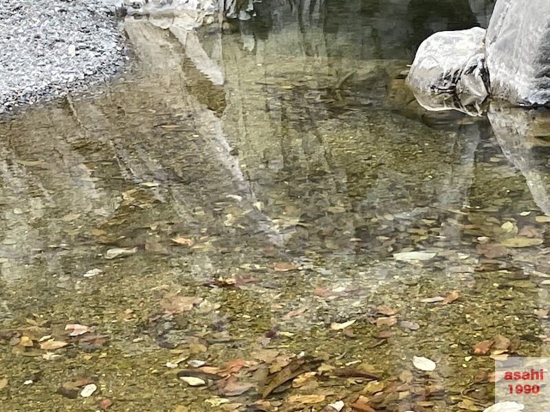 神流川 上野漁協